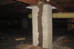 Large termite mud tube in sub-floor image