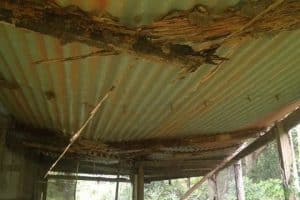 Roof collapse termite damage image