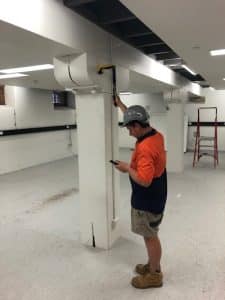 Using Termatrac detector during termite inspection