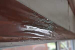 Termite damage causing paint to ripple image